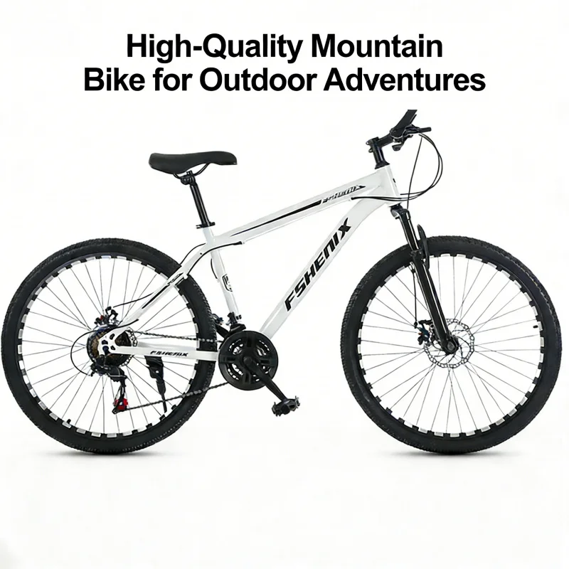 スノーホワイト スポークホイール マウンテンバイク 24/2 - Cycling Low Gear のレビューと価格